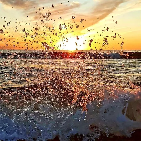Benki I Radka Torrevieja